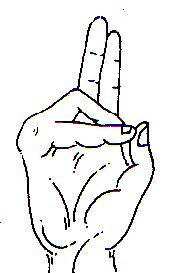 pran mudra